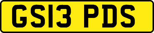 GS13PDS