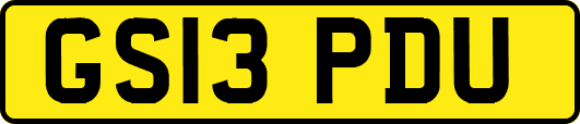 GS13PDU