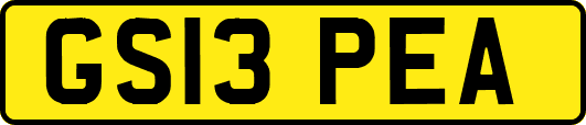 GS13PEA