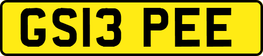 GS13PEE