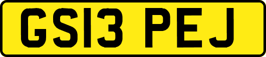 GS13PEJ