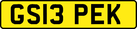 GS13PEK