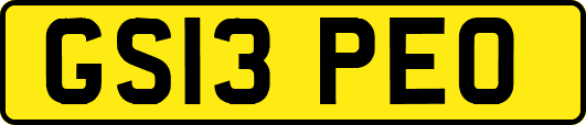 GS13PEO