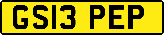 GS13PEP