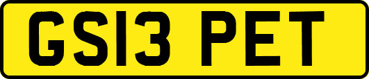 GS13PET