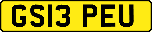 GS13PEU