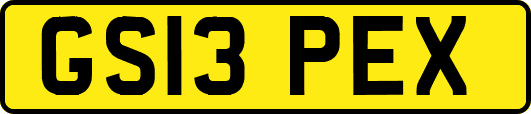 GS13PEX