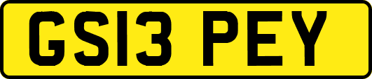 GS13PEY