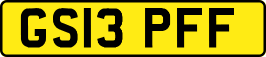 GS13PFF