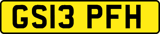 GS13PFH
