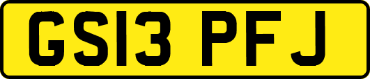 GS13PFJ