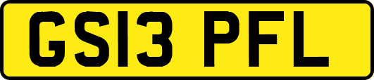 GS13PFL