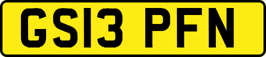 GS13PFN