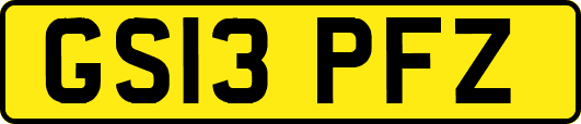 GS13PFZ