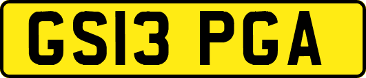 GS13PGA