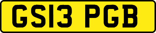 GS13PGB