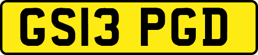GS13PGD