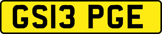 GS13PGE