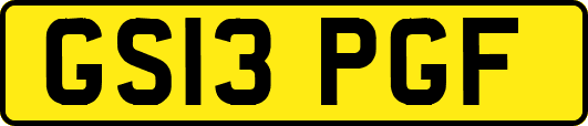 GS13PGF