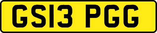 GS13PGG