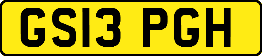 GS13PGH