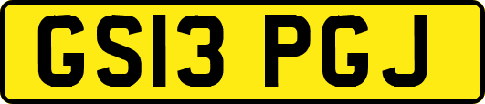 GS13PGJ