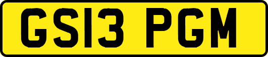 GS13PGM