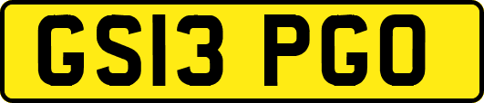 GS13PGO