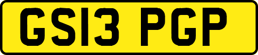 GS13PGP