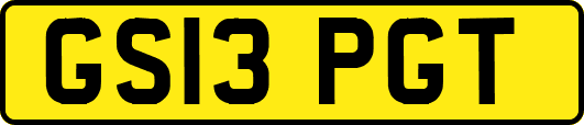 GS13PGT
