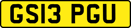 GS13PGU