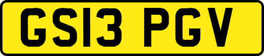 GS13PGV