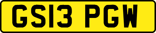 GS13PGW