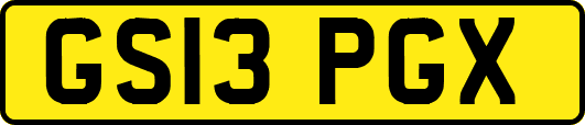 GS13PGX