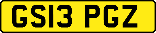 GS13PGZ