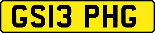 GS13PHG