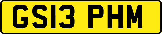 GS13PHM