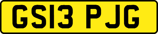 GS13PJG
