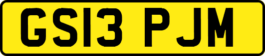 GS13PJM