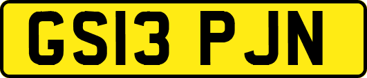 GS13PJN