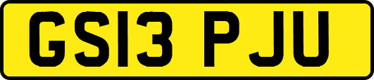 GS13PJU