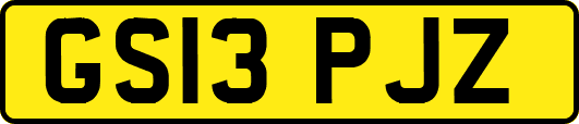 GS13PJZ