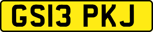 GS13PKJ