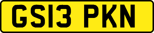 GS13PKN