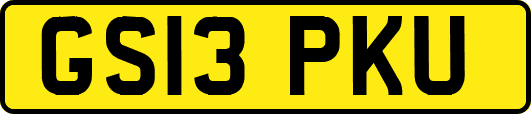 GS13PKU