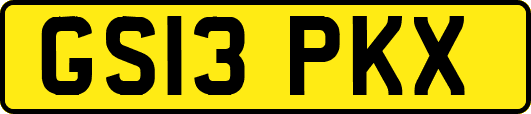 GS13PKX