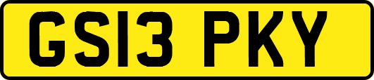 GS13PKY
