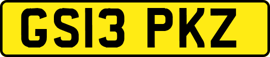 GS13PKZ