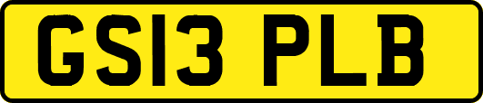 GS13PLB