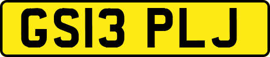 GS13PLJ